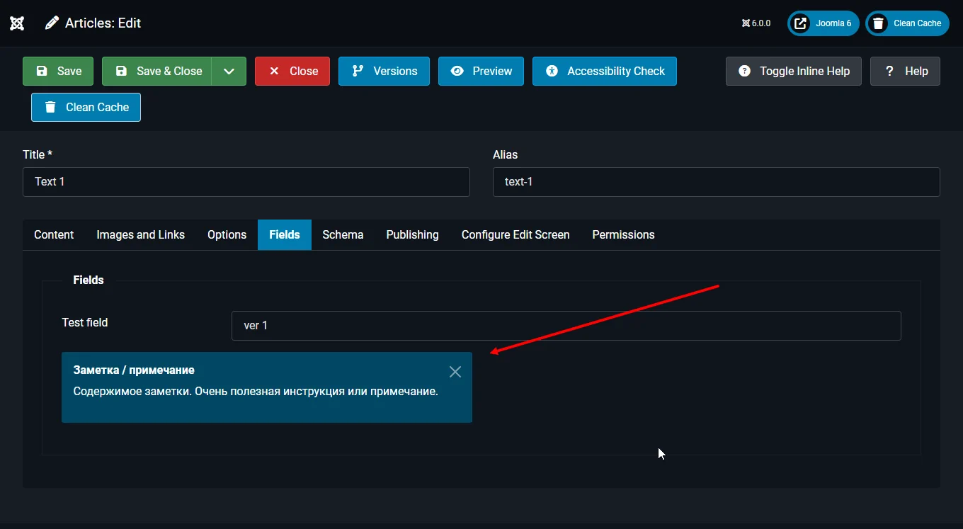 Joomla 6 note custom field final view